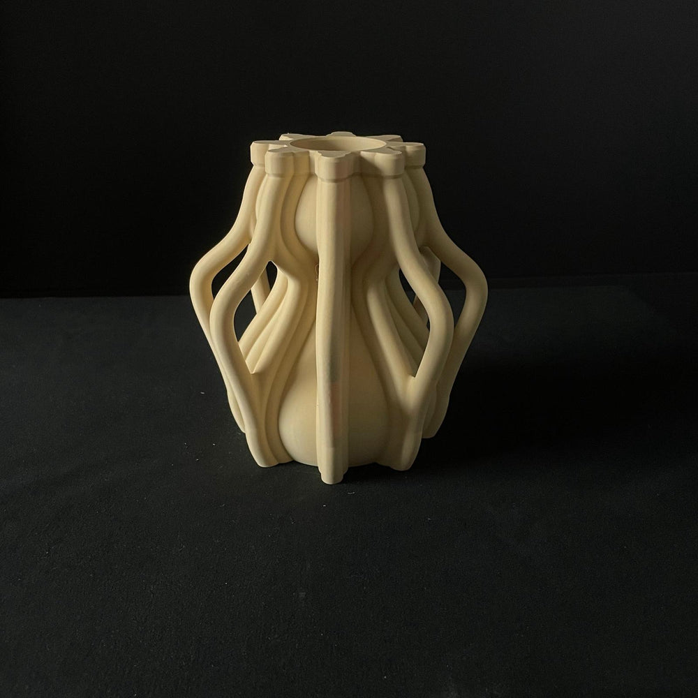 Vaso 3D Medusa | File STL per Stampa 3D