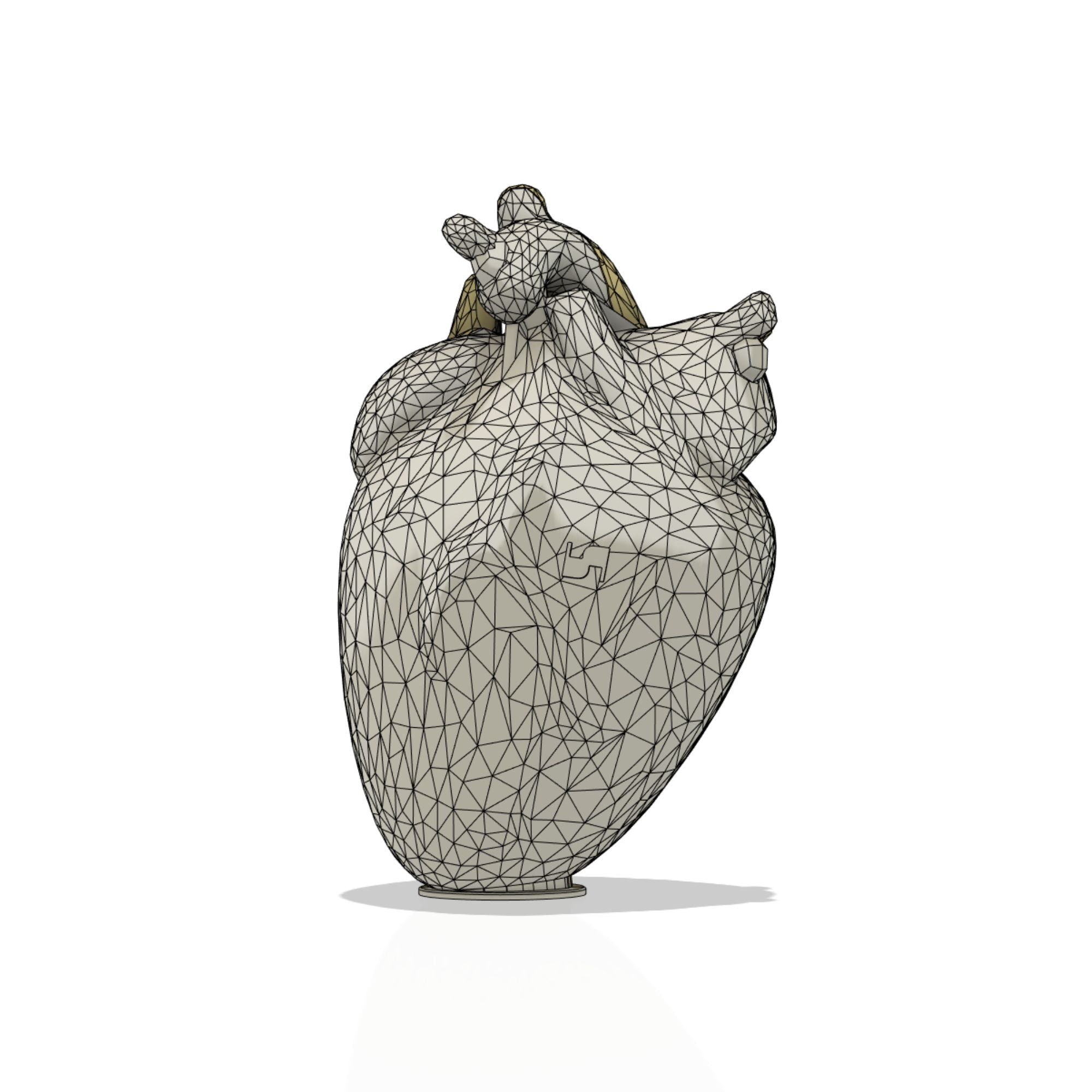 Cuore Anatomico Design | File 3D STL per Stampa 3D